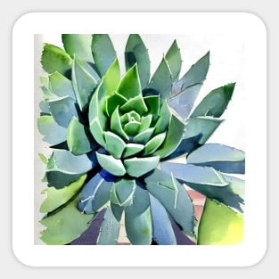 Watercolor succulent Sticker